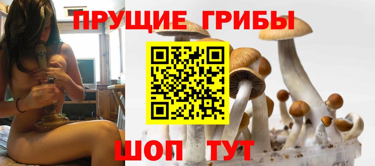 Псилоцибиновые грибы прущие грибы Туймазы